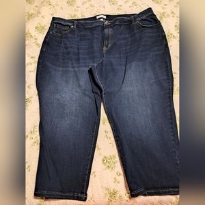 Lane Bryant size 26W women's blue jeans